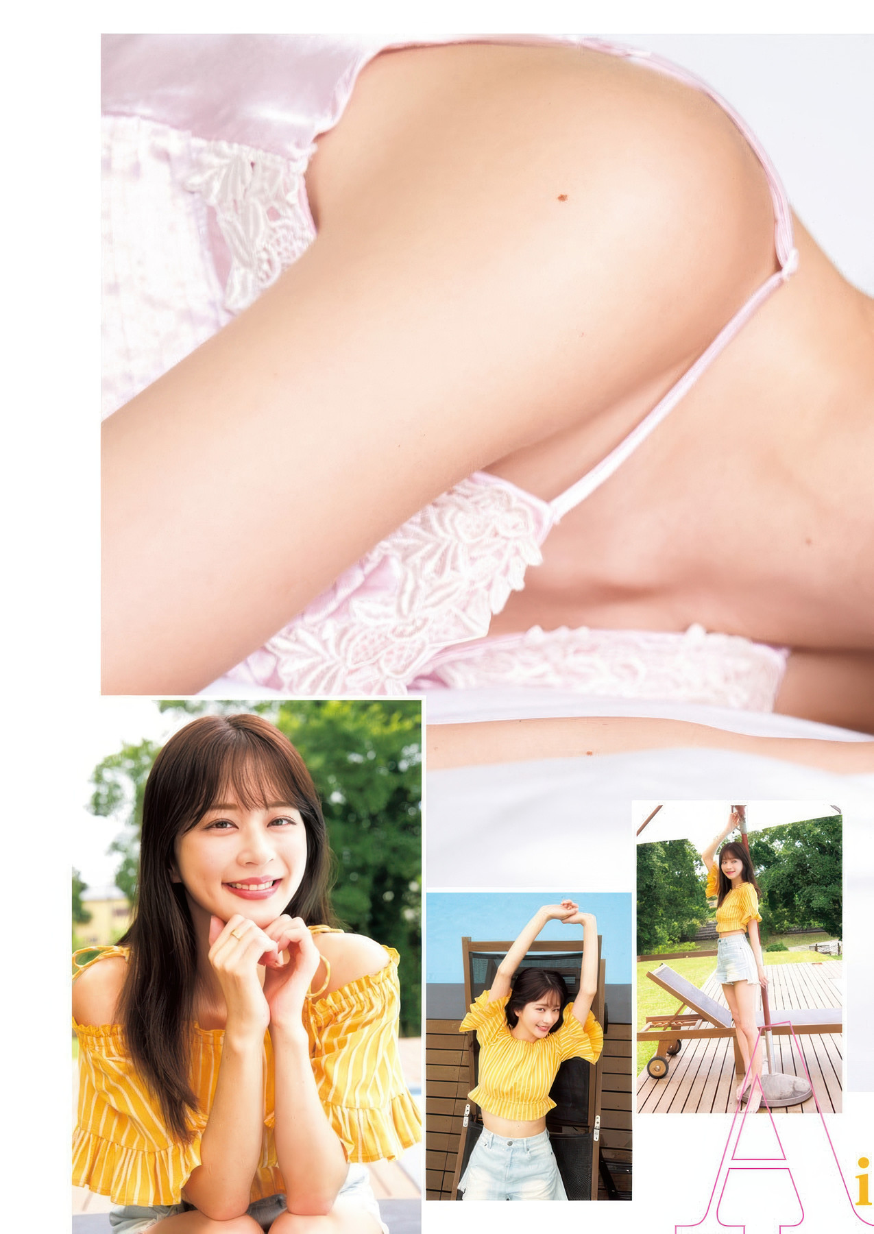 茶花写真杂志