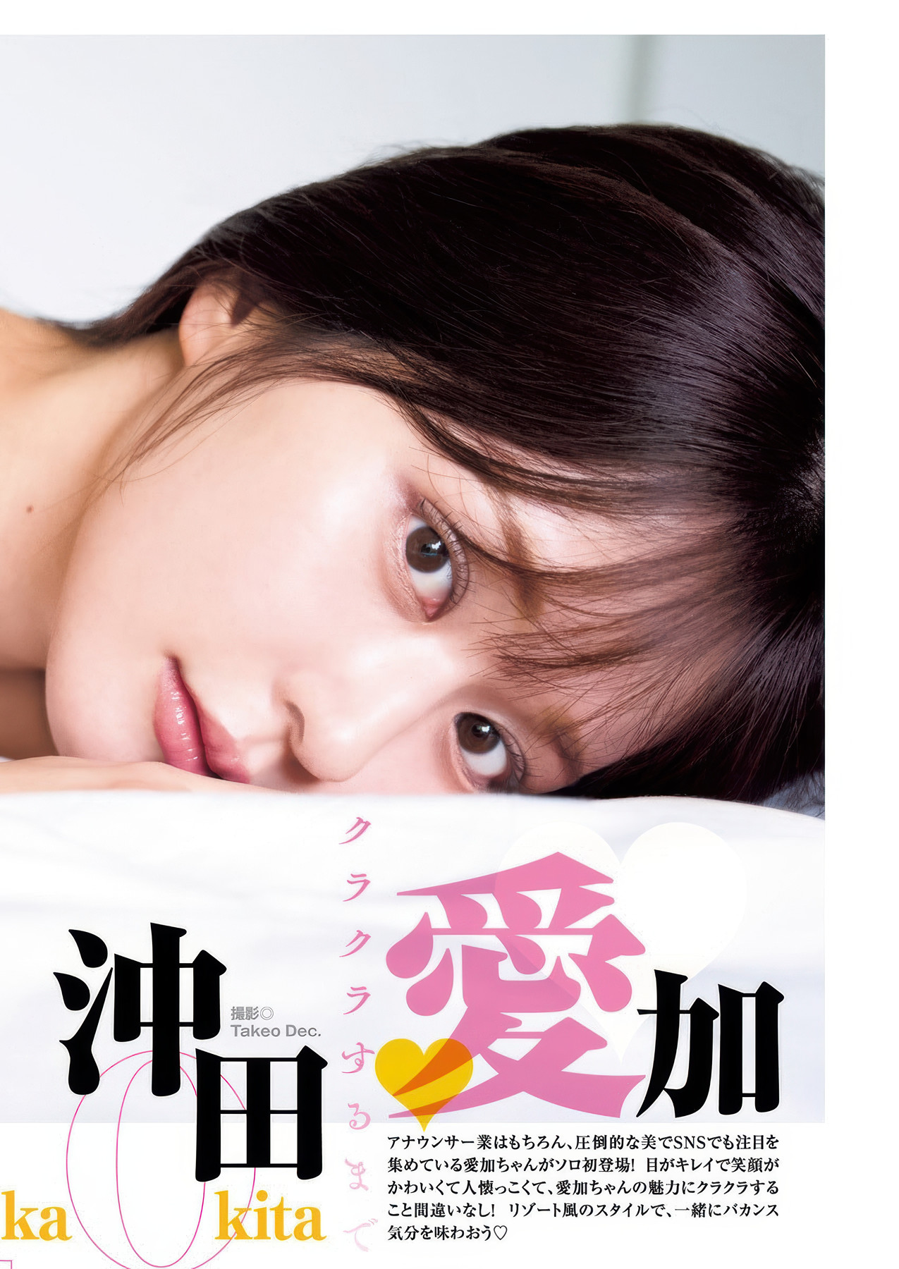 茶花写真杂志