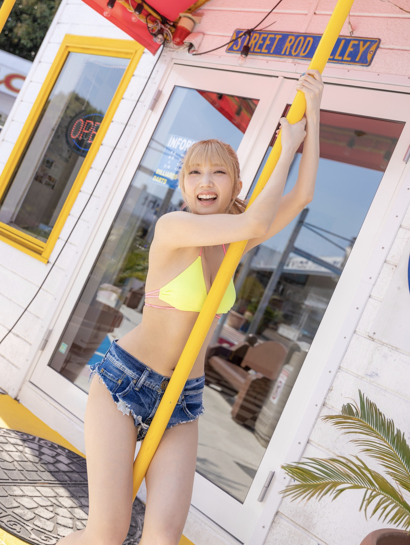 茶花写真杂志