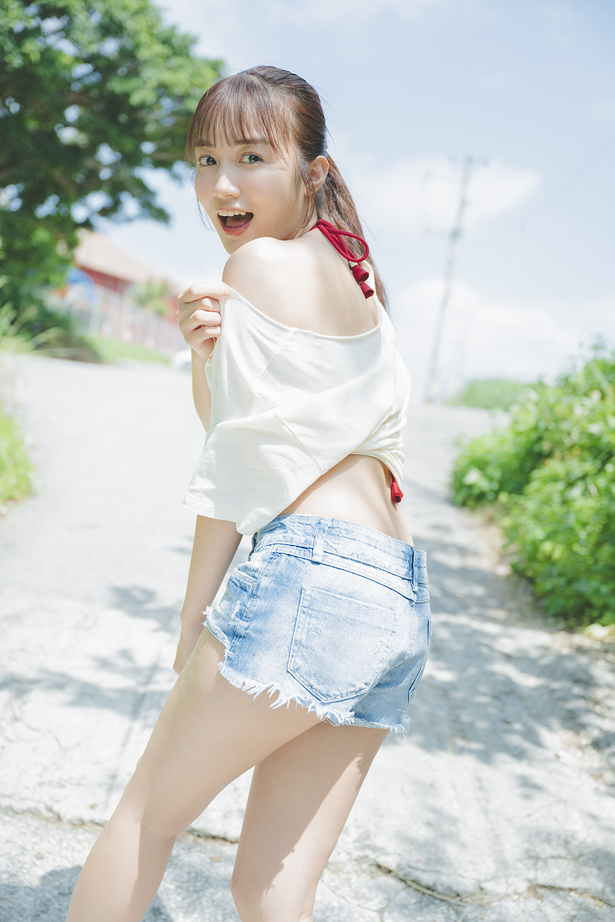 茶花写真杂志
