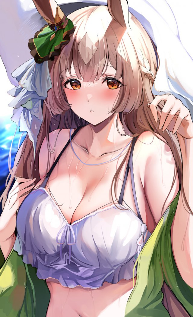 【微绅士】【けもみみ】二次獣耳画像【ケモノ耳】　その４９