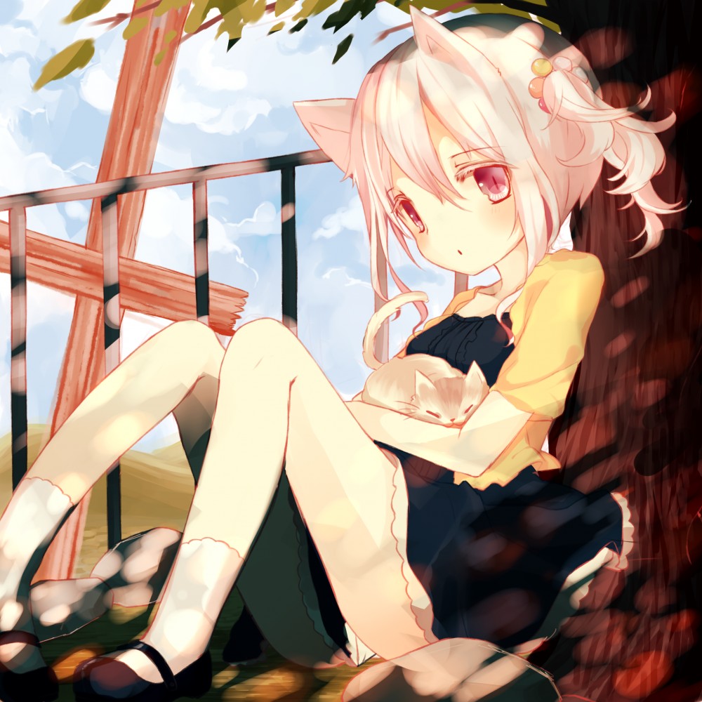 茶花二次元动漫CG图片ACGUC.COM