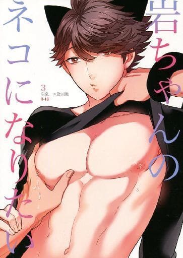 【汉化漫画】[ロトチカ (神使月)] 岩ちゃんのネコになりたい 3(ハイキュー!!)[中国翻訳]