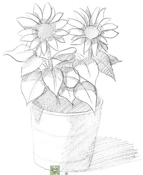 盆栽的绘画技术